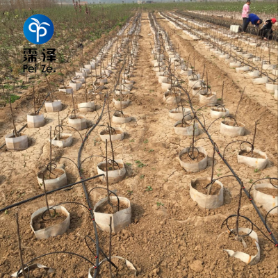 农业节水滴灌产品 迷宫滴灌带的优势与应用